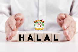 Halal Wholesale Chicken