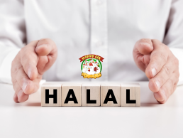 Halal Wholesale Chicken