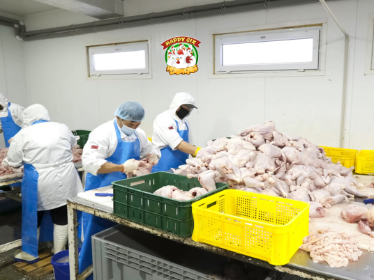 Halal Wholesale Chicken