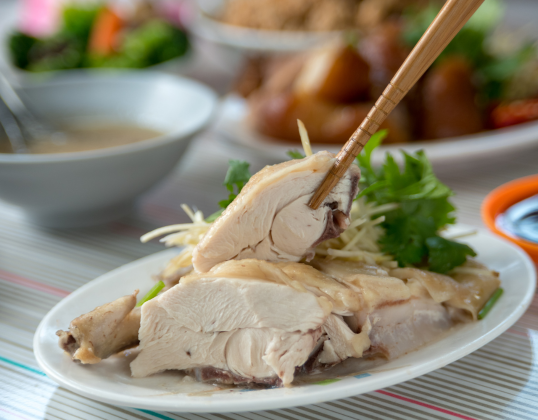 Ayam Probiotik