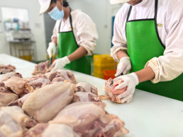 Rumah Potong Ayam