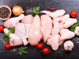 Supplier Ayam Potong
