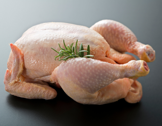 Supplier Ayam Potong